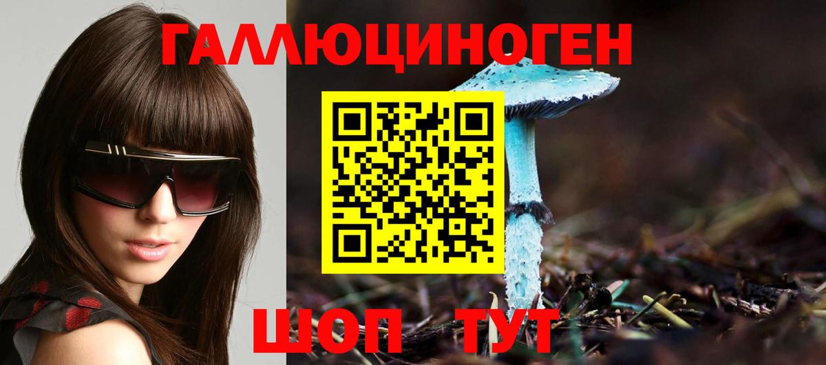 Псилоцибиновые грибы прущие грибы Чернушка